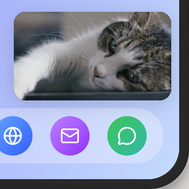 Cat appears on screen